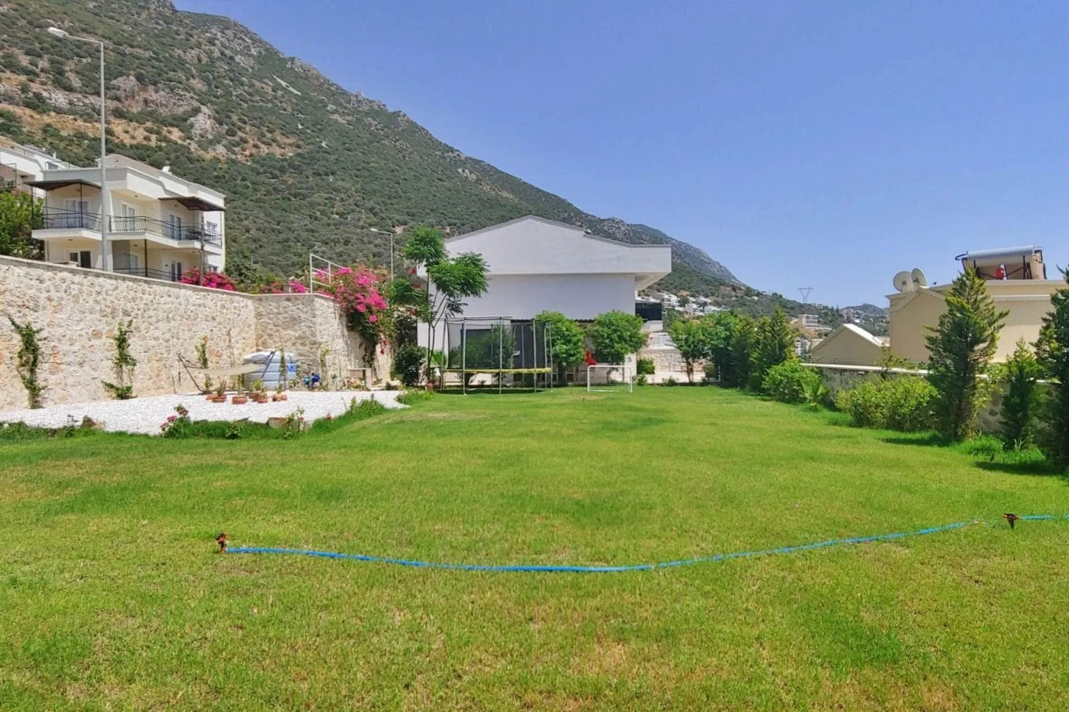Villa Pine — fotoğraf 23